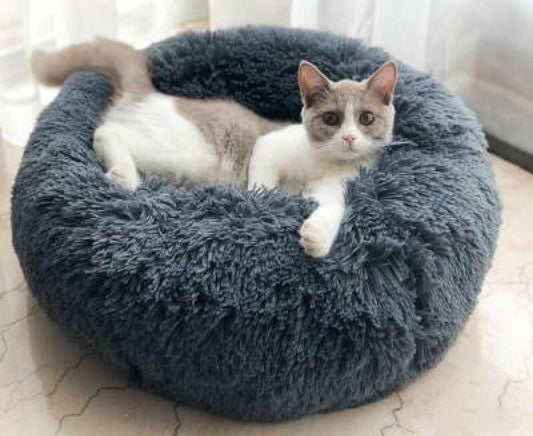 Katze entspannt in gemütlichem Katzenbett auf Decoworld Blog