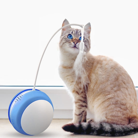 Interaktives Katzenspielzeug mit LED & Vogelton