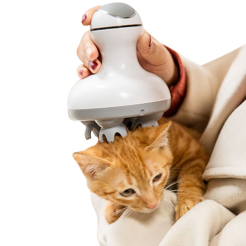 Kopfmassagegerät für Katzen - Automatisch & Wasserdicht
